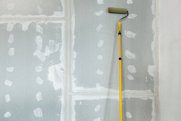 Best Mold Odor Removal Services  in Cordaville, MA