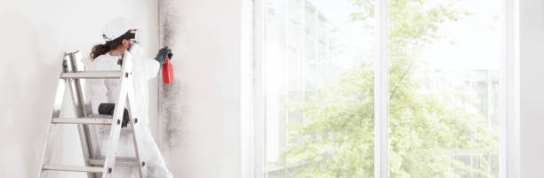 Best Air Quality Testing for Mold Spores  in Cordaville, MA