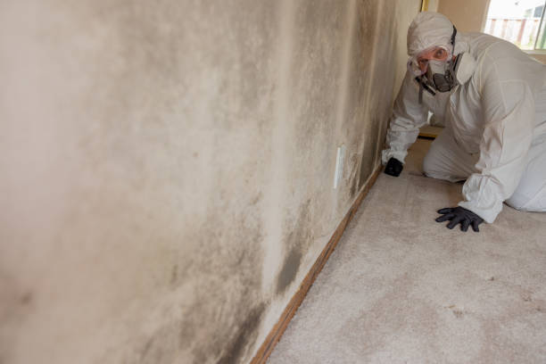 Biohazard Mold Removal in Cordaville, MA